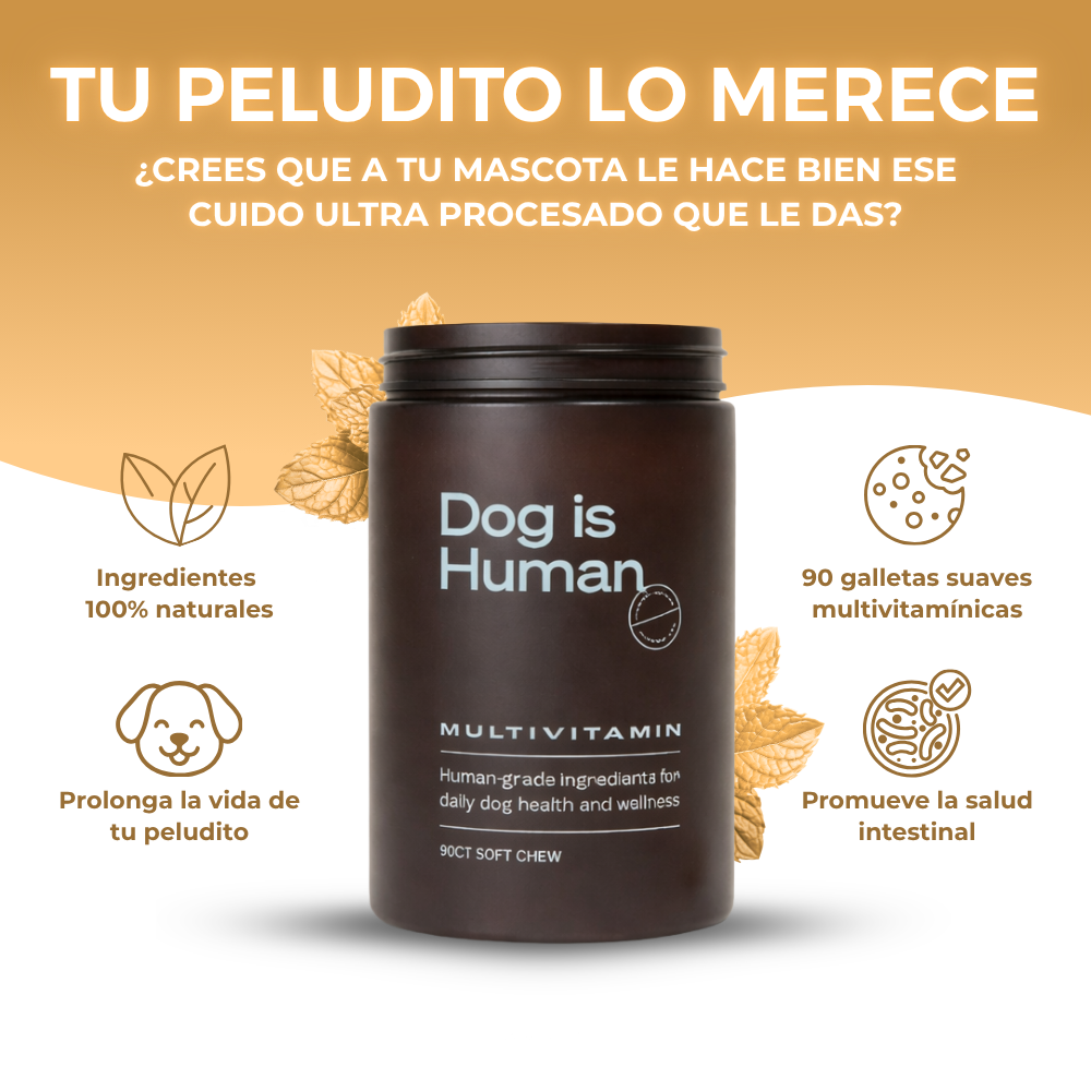 Dog is Human 90 Bocados | Mejora la vitalidad de tu peludito